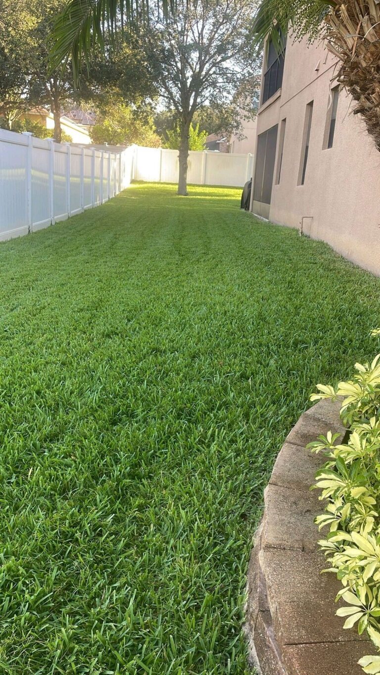 تنسيق حدائق (2)