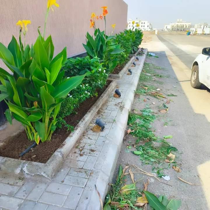 تنسيق حدائق (3)