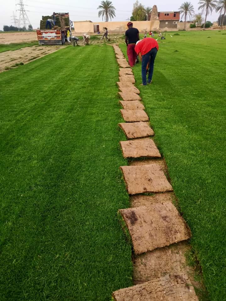 تنسيق حدائق (8)