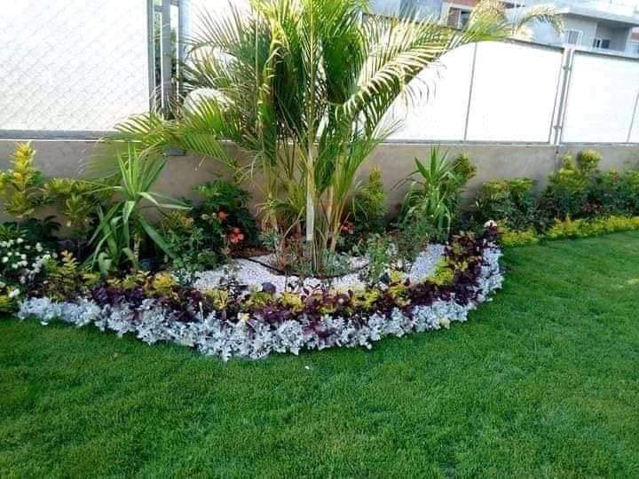 تنسيق حدائق (9)