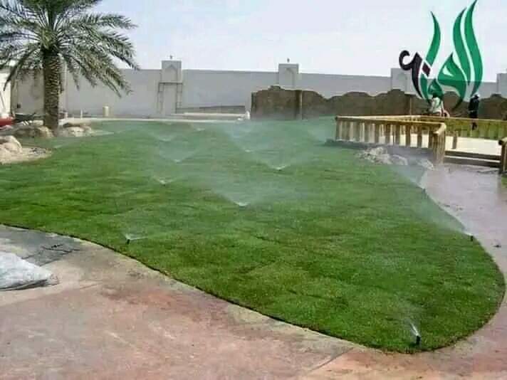 ركن الجنوب (5)