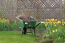 قص اشجار ومعالجة الامراض (19)