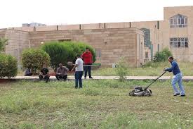 قص اشجار ومعالجة الامراض (20)