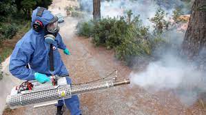 قص اشجار ومعالجة الامراض (24)