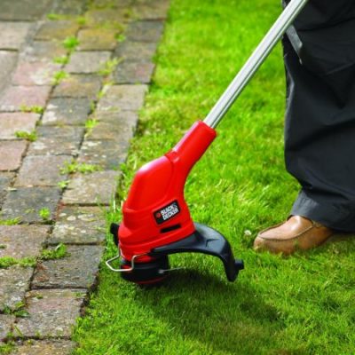 قص اشجار ومعالجة الامراض (5)