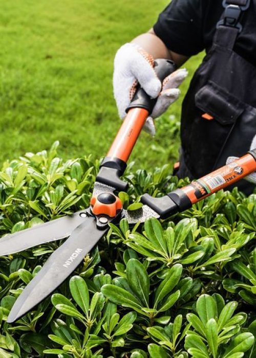 تنسيق حدائق (6)